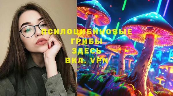 ГАЛЛЮЦИНОГЕННЫЕ ГРИБЫ Осташков