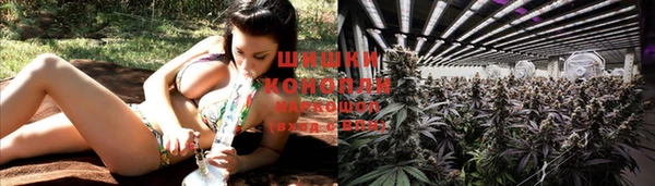 меф Пересвет