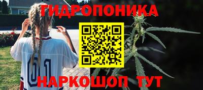 гидропоника Новодвинск