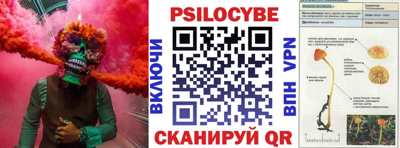что такое наркотик  Чита  Галлюциногенные грибы MAGIC MUSHROOMS 