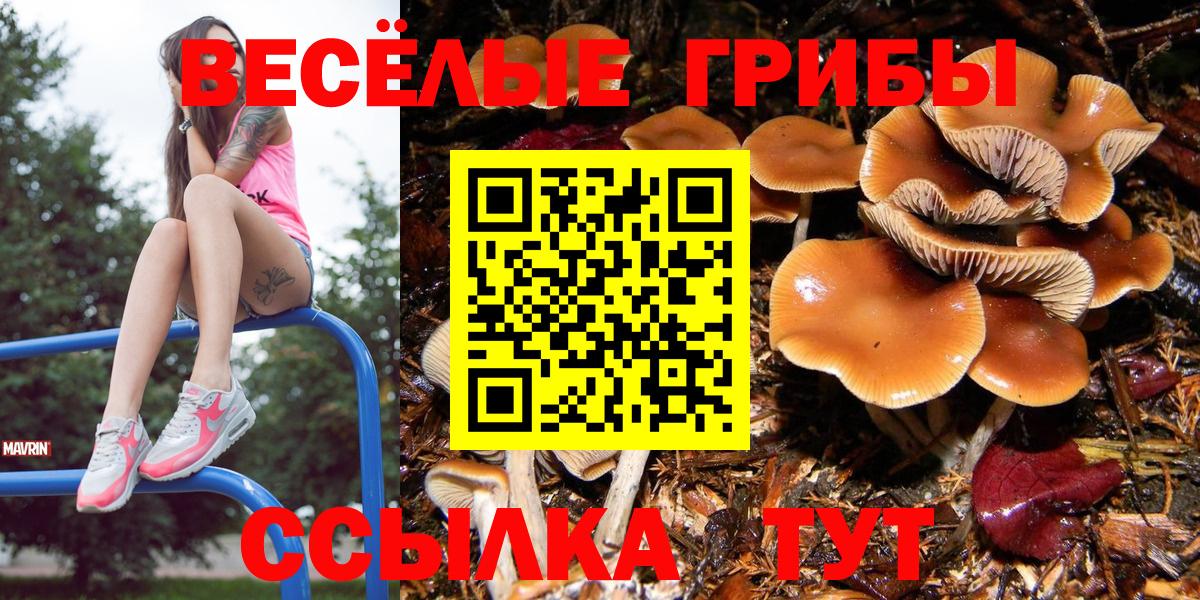 Псилоцибиновые грибы MAGIC MUSHROOMS Чита