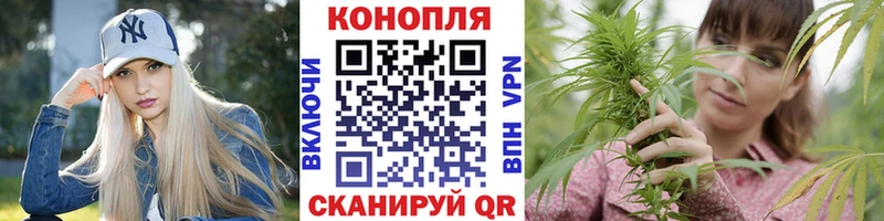 Марихуана Amnesia  mega ссылки  Чита  это как зайти  где продают  